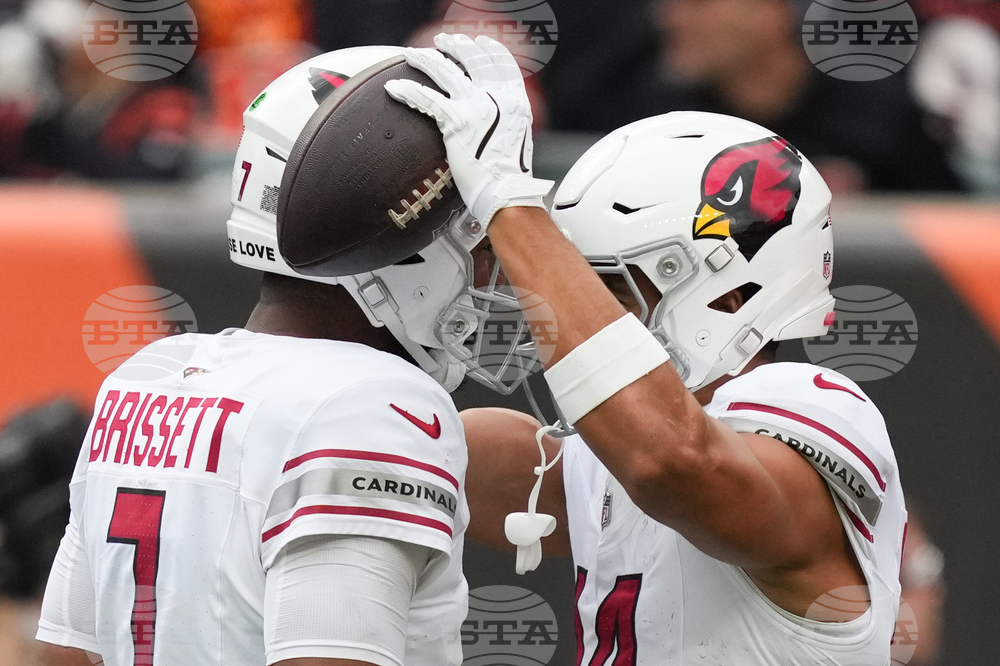 Cardinals Bengals Football