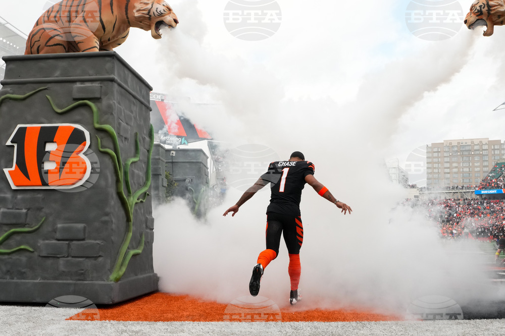 Cardinals Bengals Football