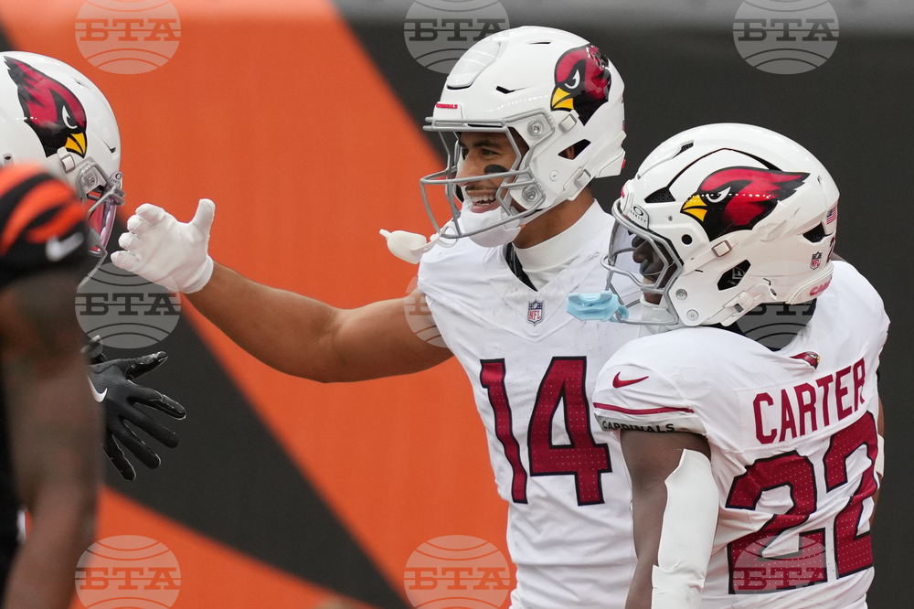 Cardinals Bengals Football