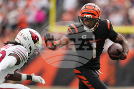 Cardinals Bengals Football