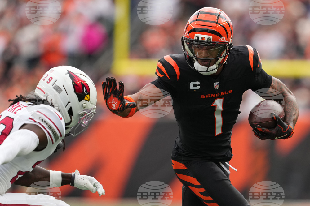 Cardinals Bengals Football