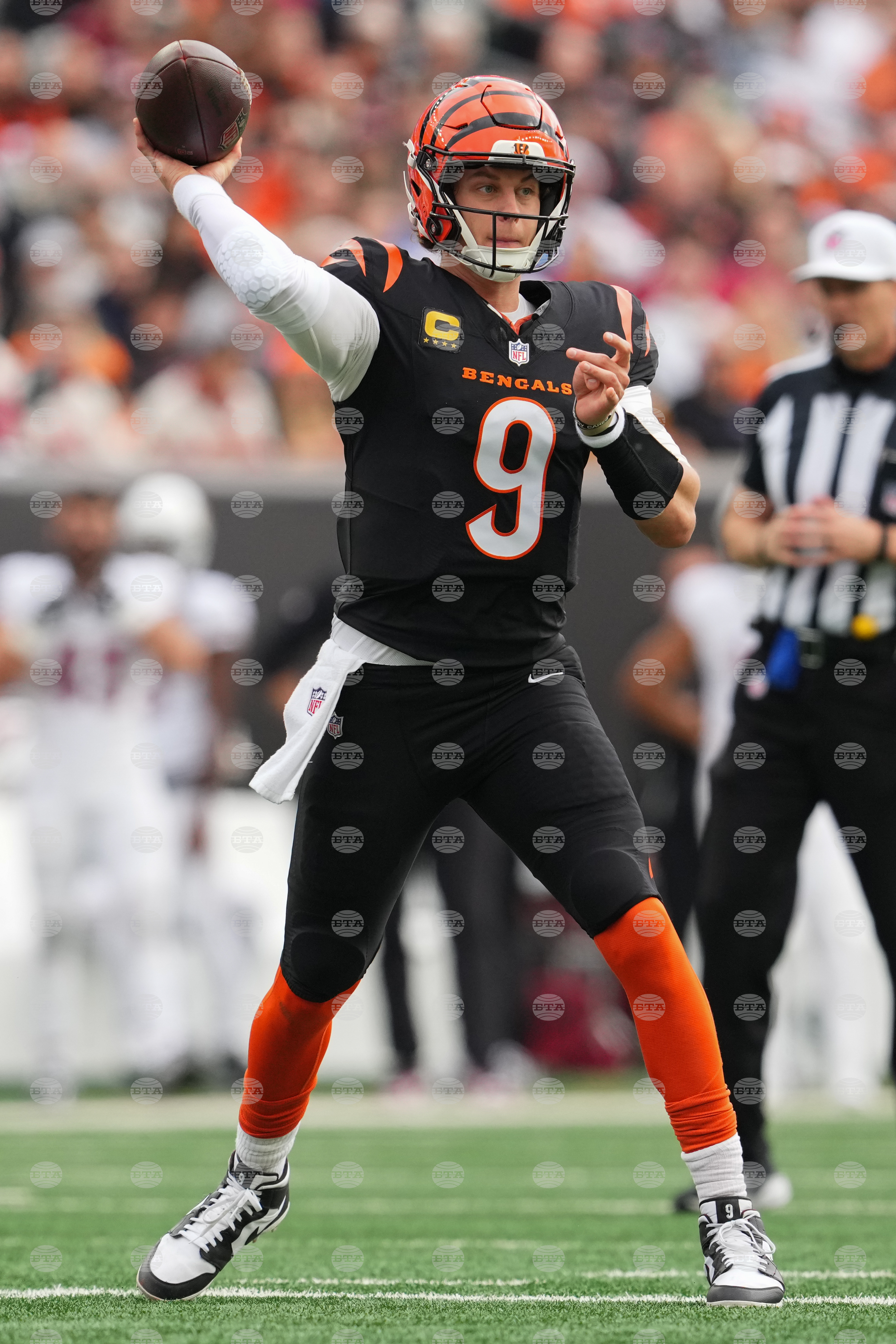 Cardinals Bengals Football