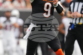 Cardinals Bengals Football