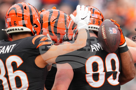 Cardinals Bengals Football