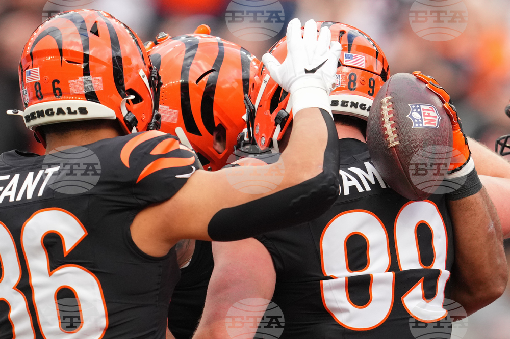 Cardinals Bengals Football