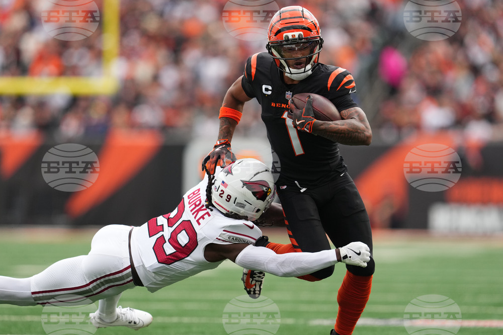 Cardinals Bengals Football