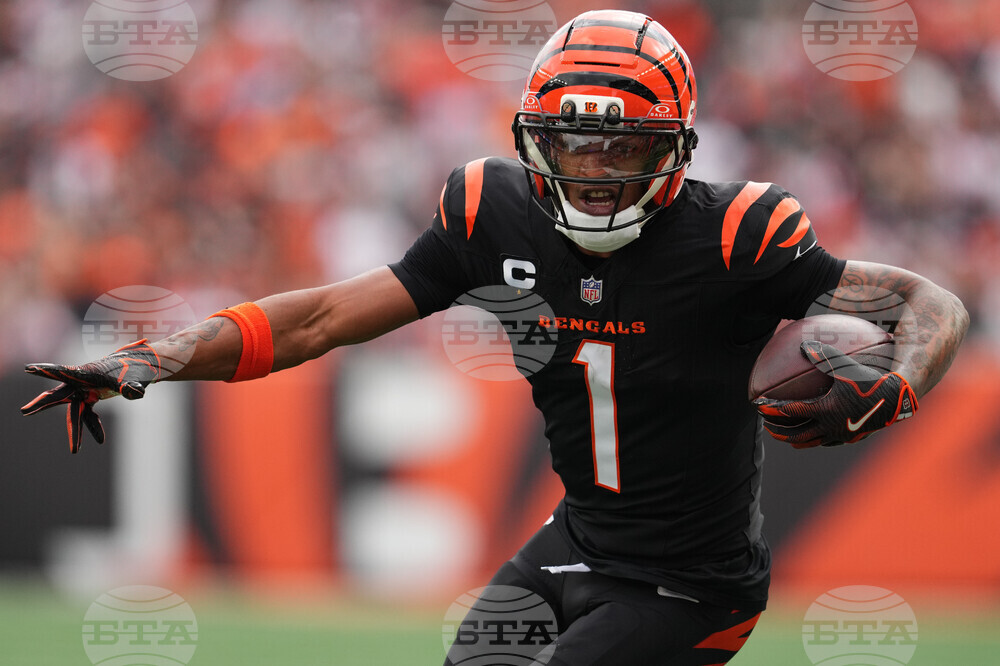 Cardinals Bengals Football