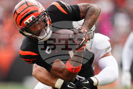 Cardinals Bengals Football