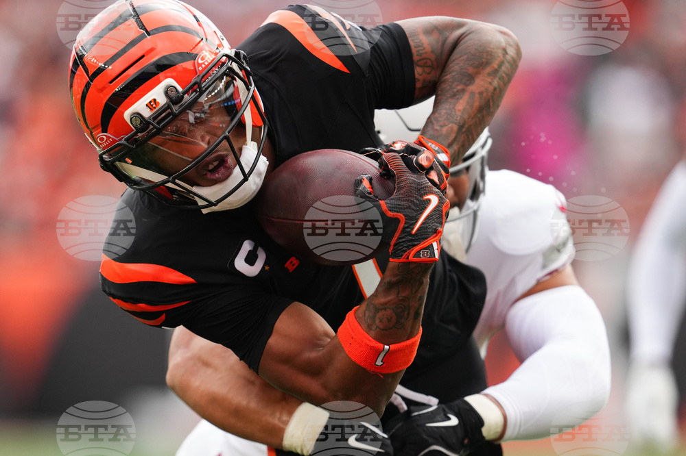 Cardinals Bengals Football