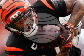 Cardinals Bengals Football