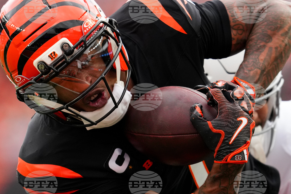 Cardinals Bengals Football