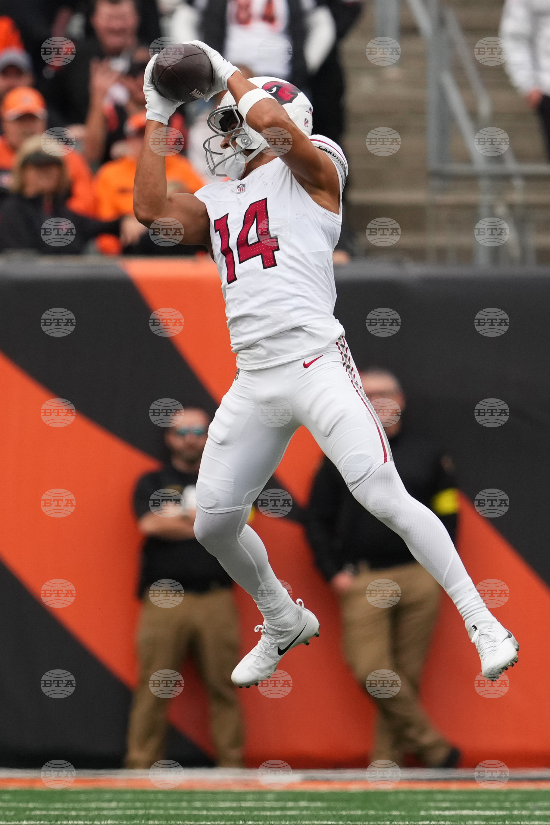 Cardinals Bengals Football