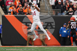 Cardinals Bengals Football
