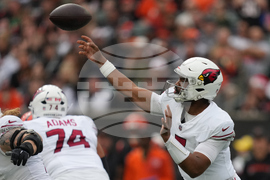 Cardinals Bengals Football