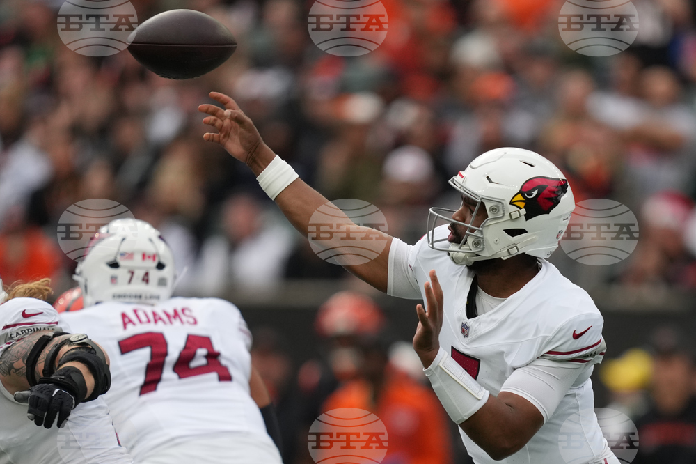 Cardinals Bengals Football