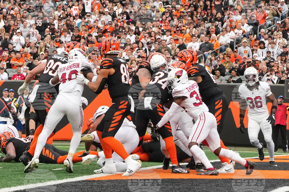 Cardinals Bengals Football