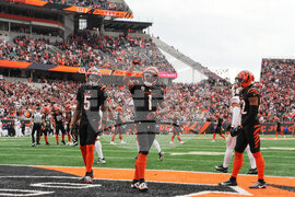 Cardinals Bengals Football