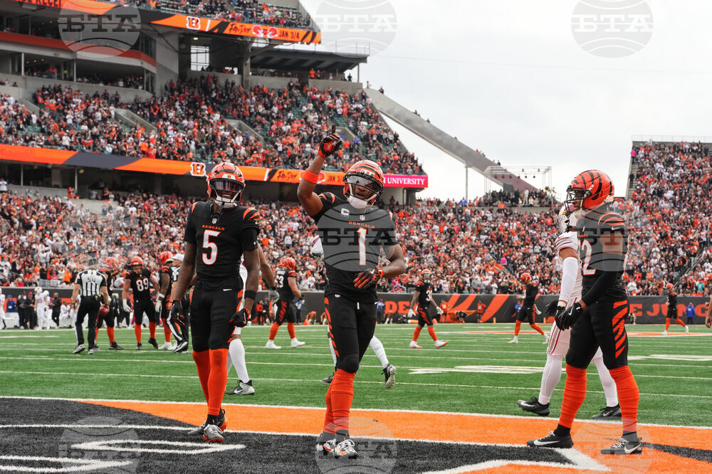 Cardinals Bengals Football