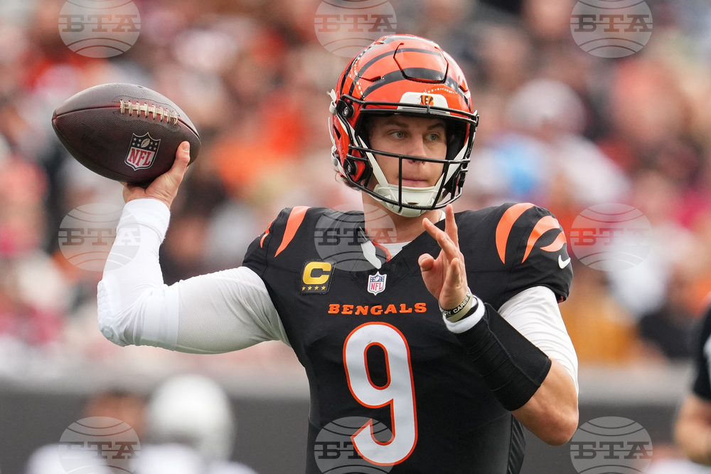 Cardinals Bengals Football