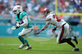 Buccaneers Dolphins Football