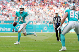 Buccaneers Dolphins Football