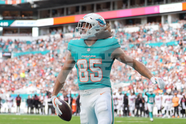 Buccaneers Dolphins Football