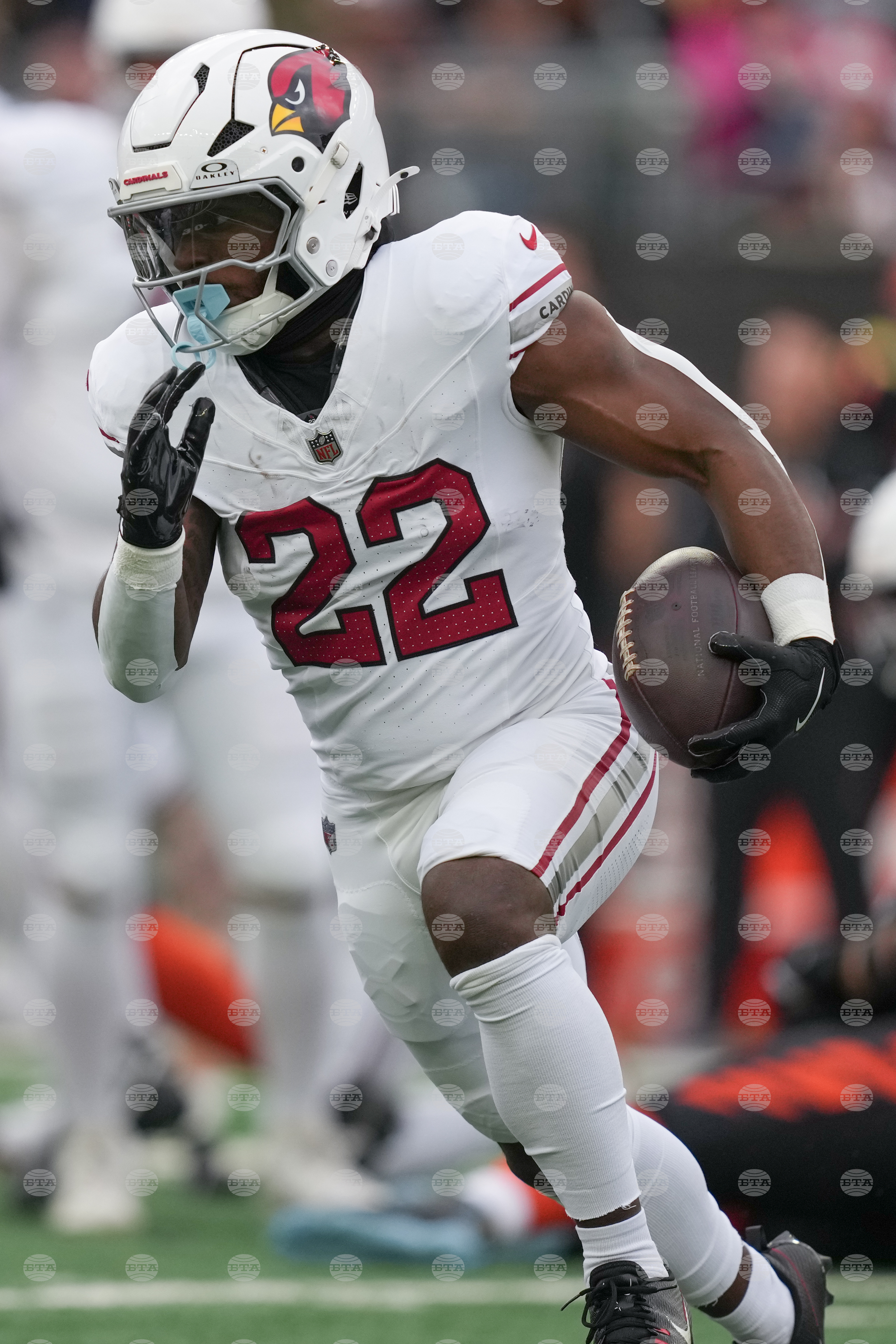 Cardinals Bengals Football