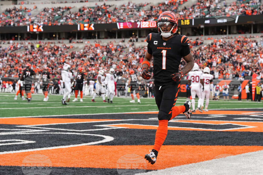 Cardinals Bengals Football