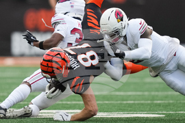 Cardinals Bengals Football