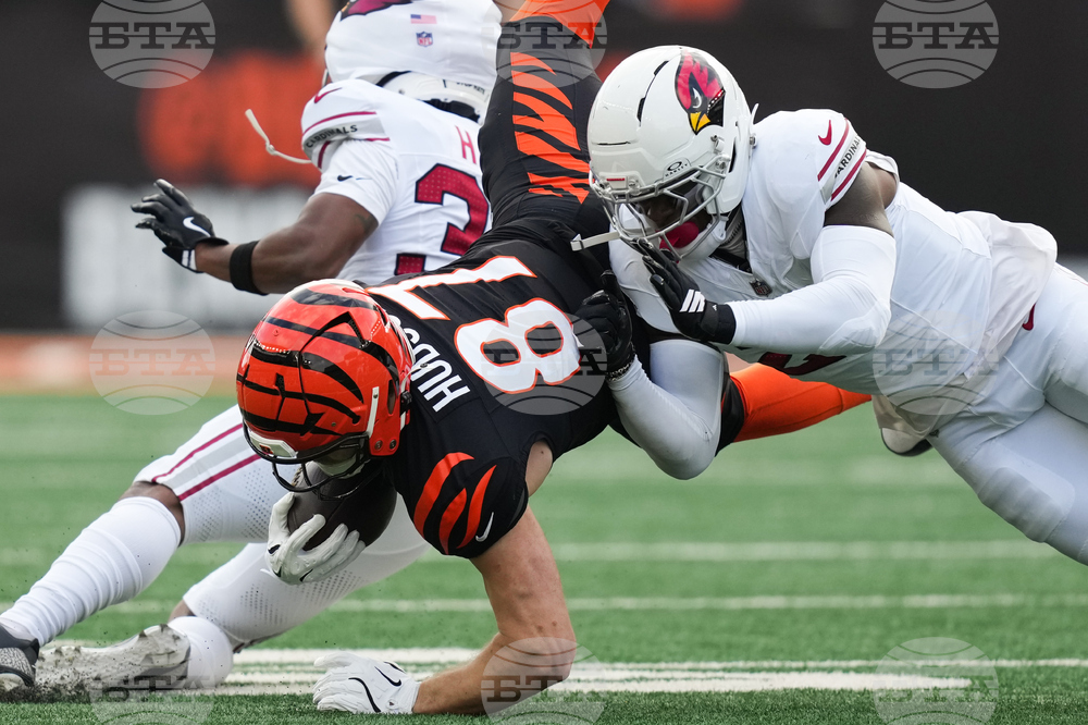 Cardinals Bengals Football