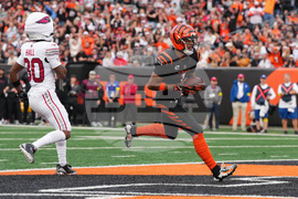 Cardinals Bengals Football