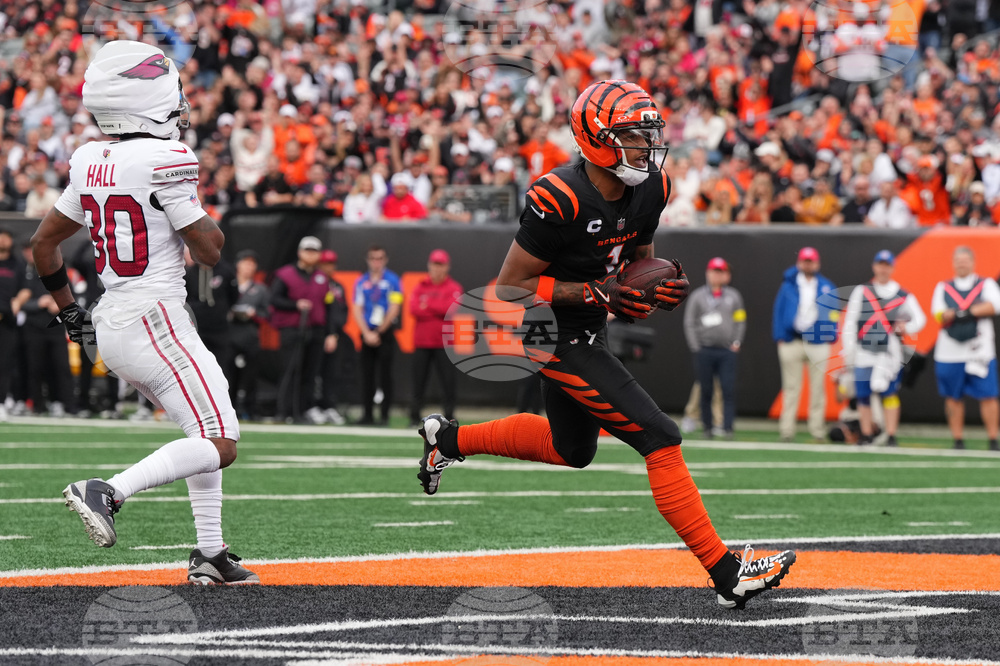 Cardinals Bengals Football