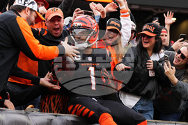 Cardinals Bengals Football