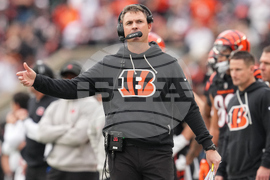 Cardinals Bengals Football