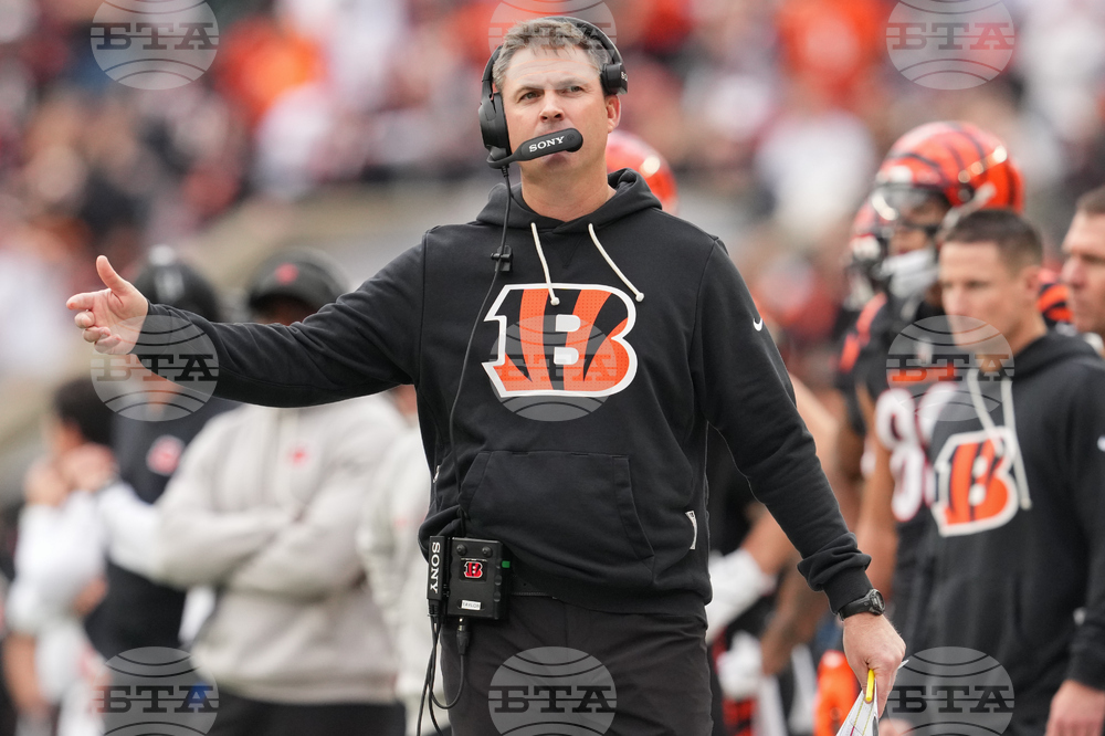 Cardinals Bengals Football