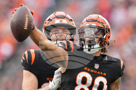 Cardinals Bengals Football