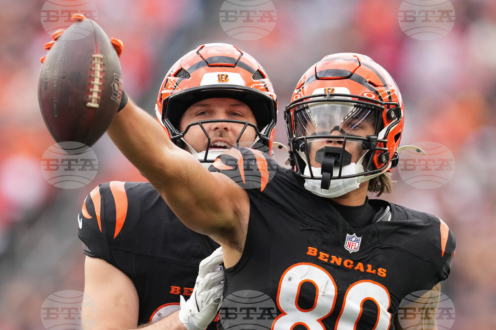 Cardinals Bengals Football