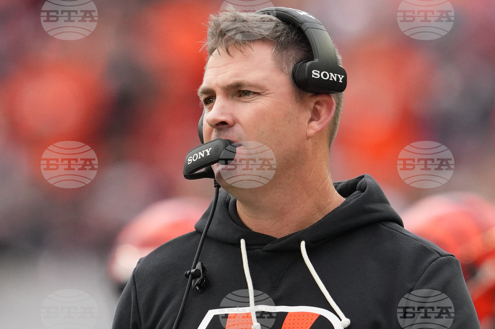 Cardinals Bengals Football