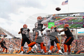 Cardinals Bengals Football