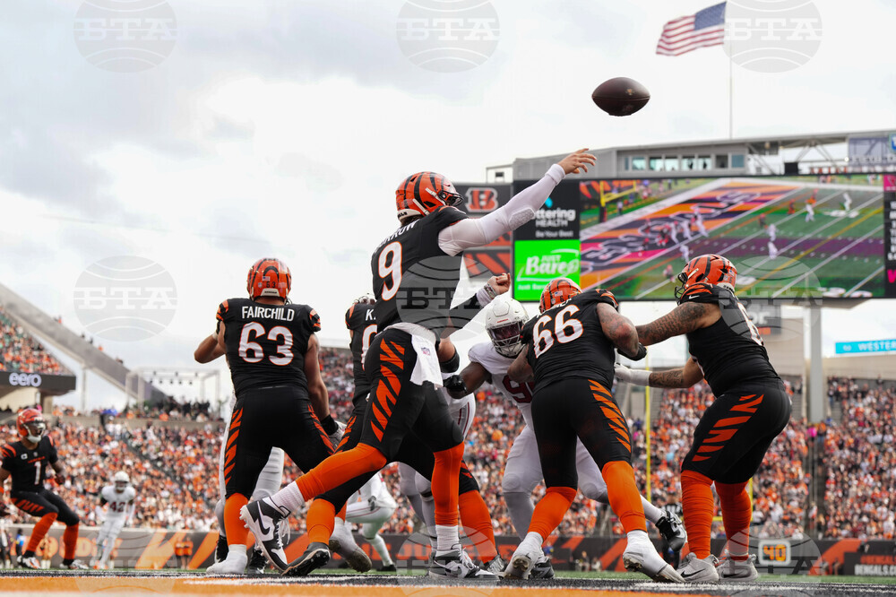 Cardinals Bengals Football