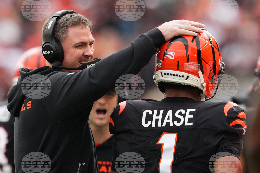 Cardinals Bengals Football