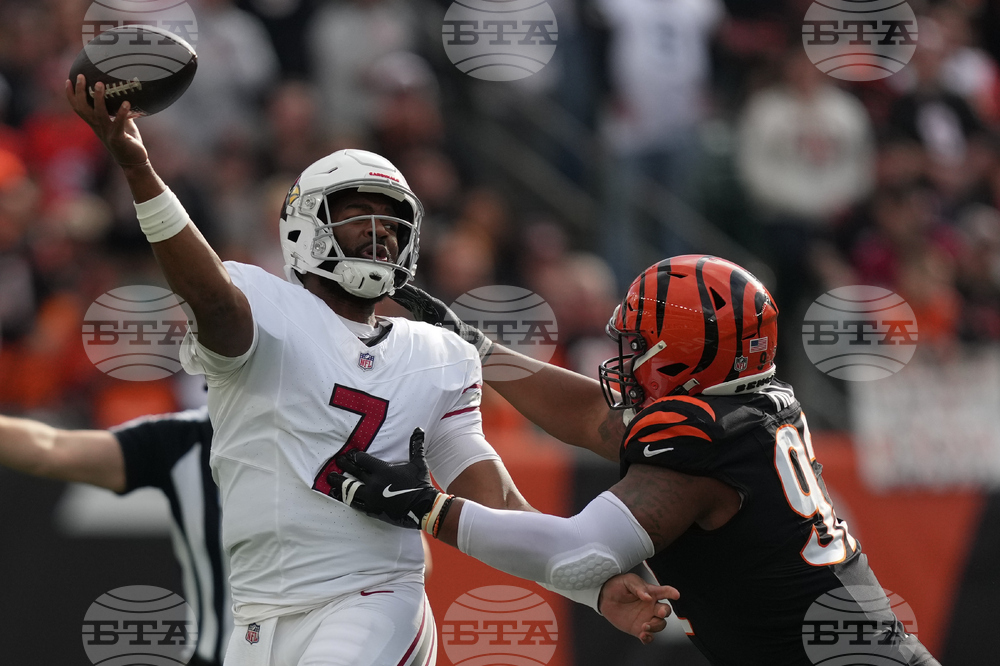 Cardinals Bengals Football