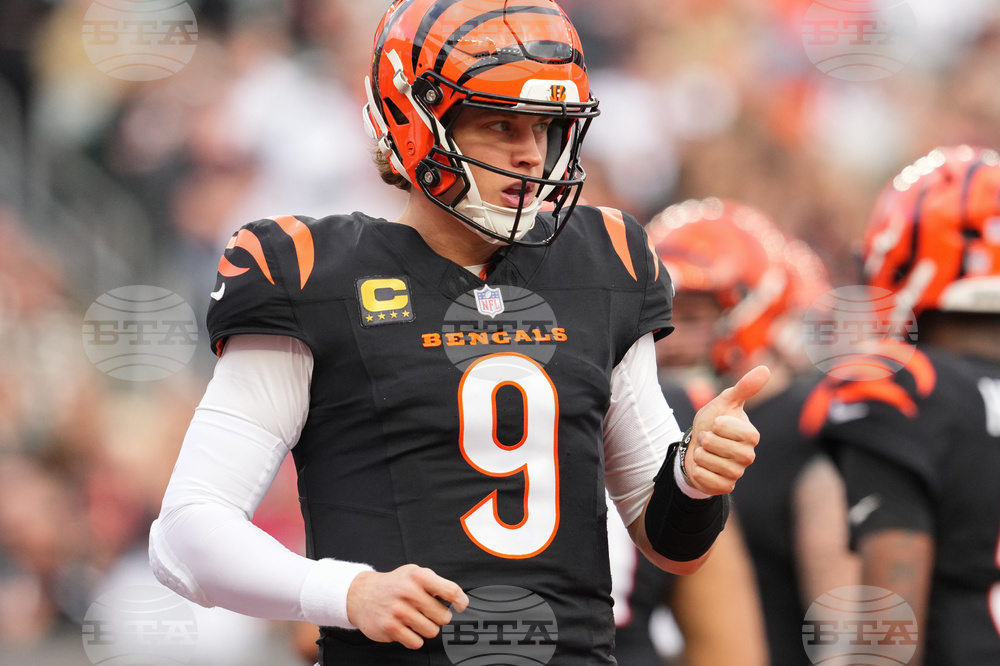 Cardinals Bengals Football