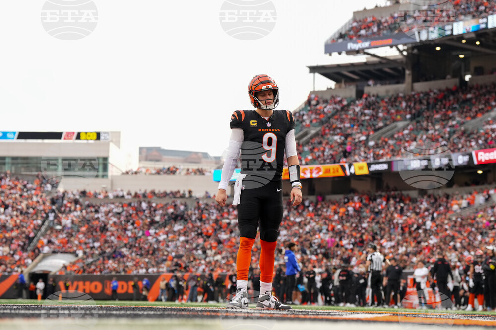 Cardinals Bengals Football