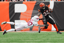 Cardinals Bengals Football