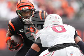 Cardinals Bengals Football