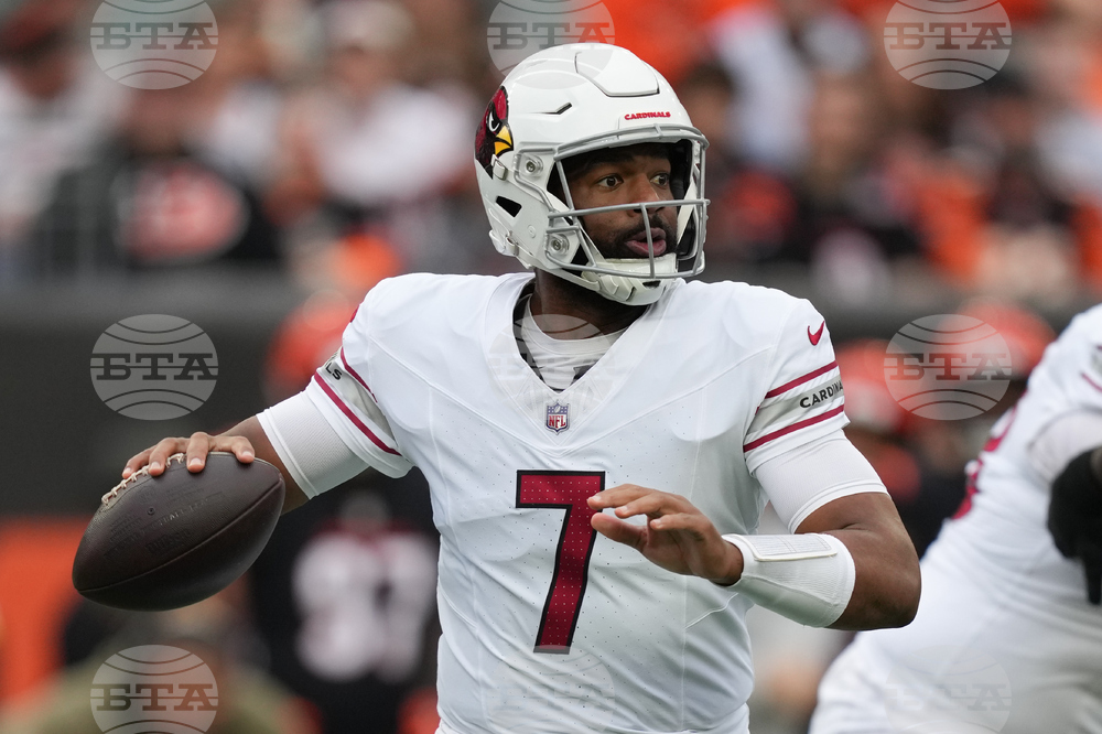 Cardinals Bengals Football