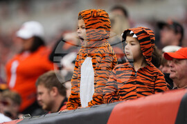 Cardinals Bengals Football