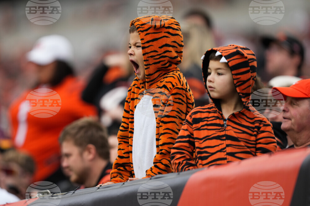 Cardinals Bengals Football