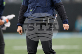 Seahawks Panthers Football